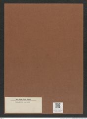 Diatomeae indet. Zeichnungen Sammlung Grunow Mappe 04050 (Herbarium_W_Grunow_drawings_Folder_04050)